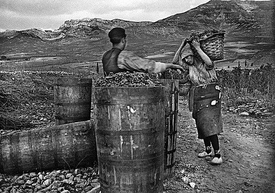 Prohibida su reproducción sin mencionar ©Archivo Bodegas Lopez de Heredia Viña Tondonia