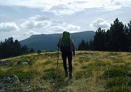 Un senderista recorre un cortafuegos en la Sierra de la Demanda.