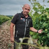 El agricultor Eduardo Melón señala unas viñas de El Cortijo (Logroño) con mildiu en hoja.