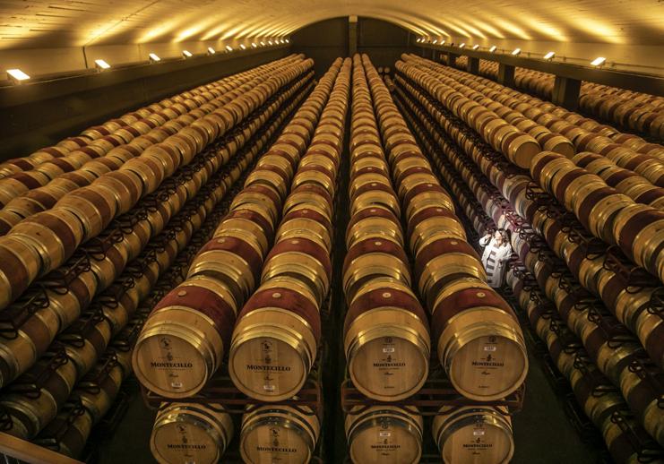 Nave de barricas actual de la bodega construida por Osborne en Navarrete.