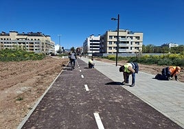 Obras del carril ciclopeatonal por lo que será la prolongación de avenida de la Sierra.