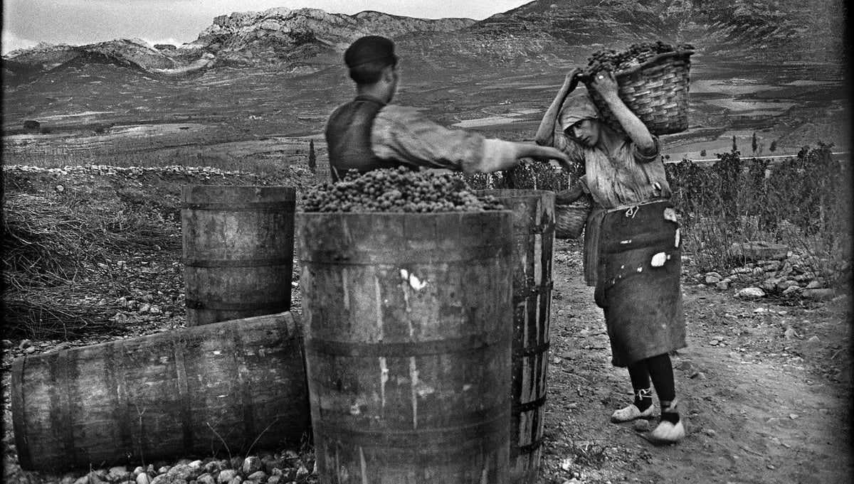Archivo López de Heredia / Viña Tondonia. Prohibida su reproducción sin mencionar