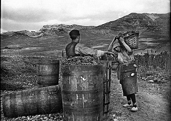 Archivo López de Heredia / Viña Tondonia. Prohibida su reproducción sin mencionar