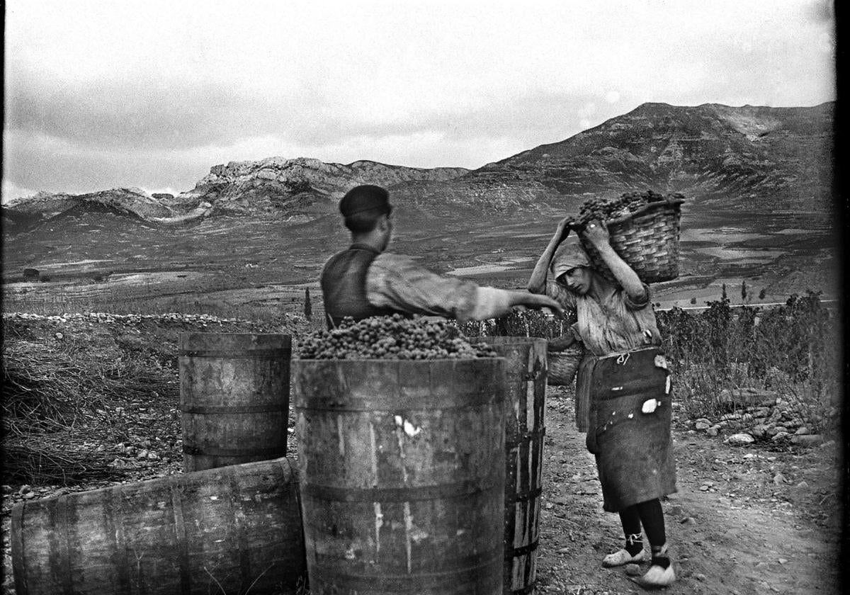 Jóvenes viticultores rioja