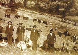 Pastores trashumantes del Alto Najerilla en los años 20.