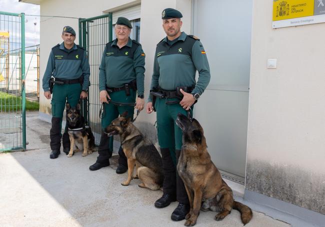César Fernández, Diego Presumido y David Castilla posan con los perros de la Guardia Civil.