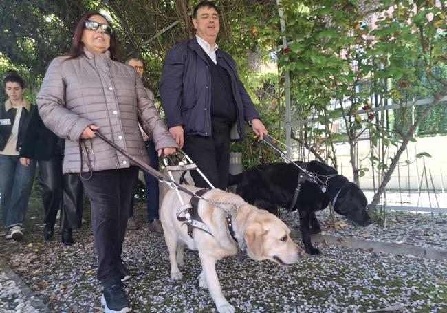 Mariví Martínez y Javier Muñoz, con los perros Ulla y Wood en las instalaciones de la ONCE.