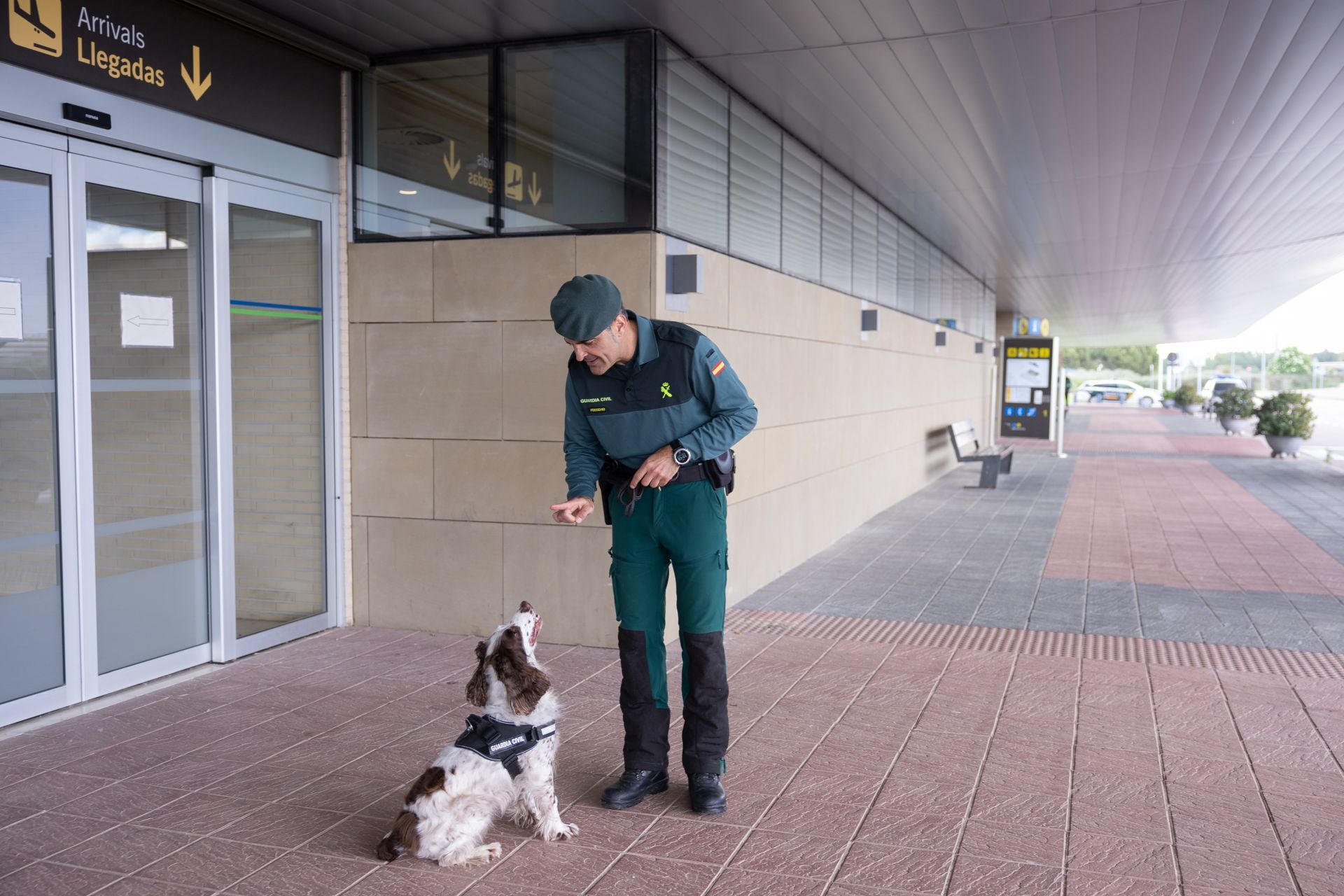Animales que hacen una labor social