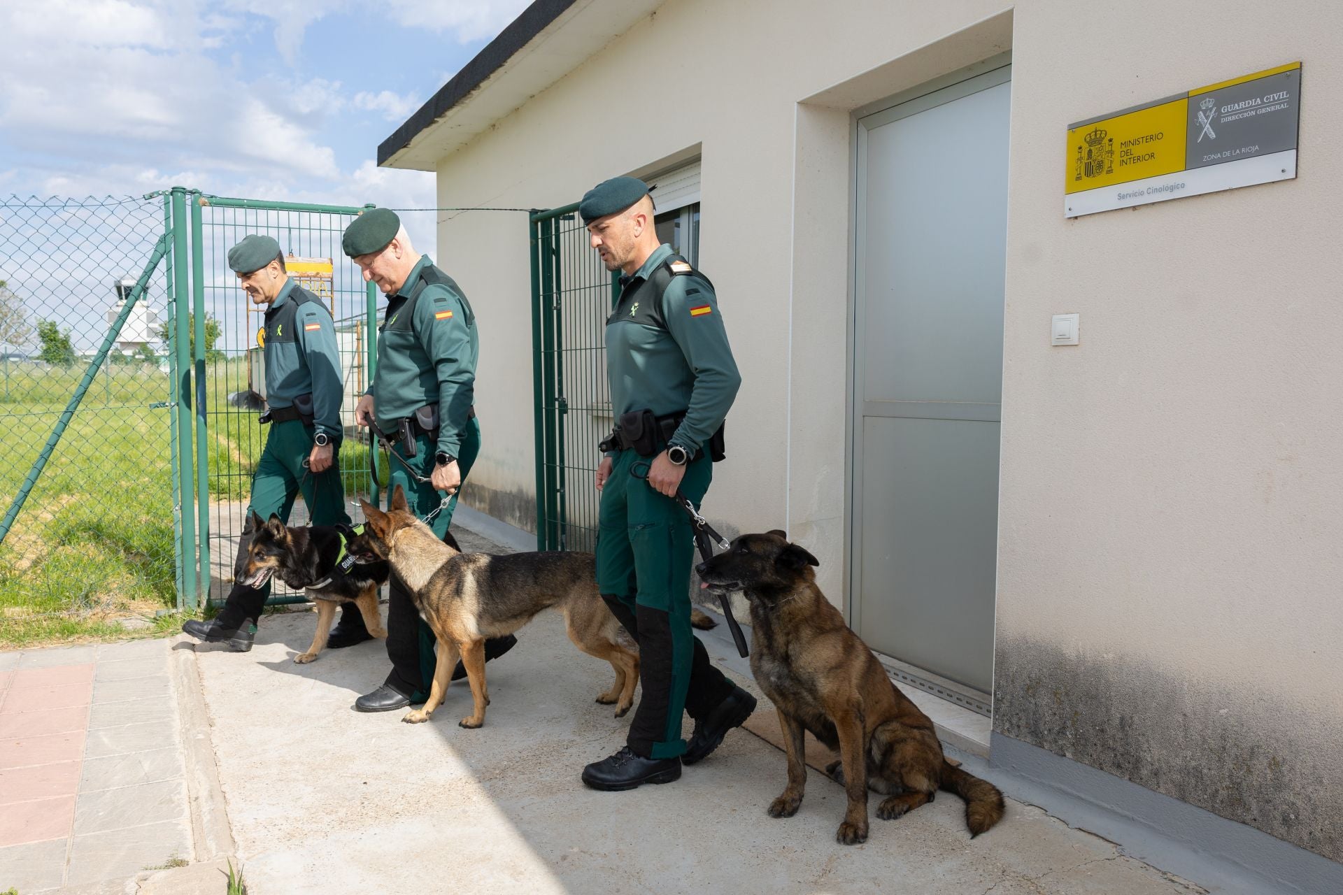 Animales que hacen una labor social