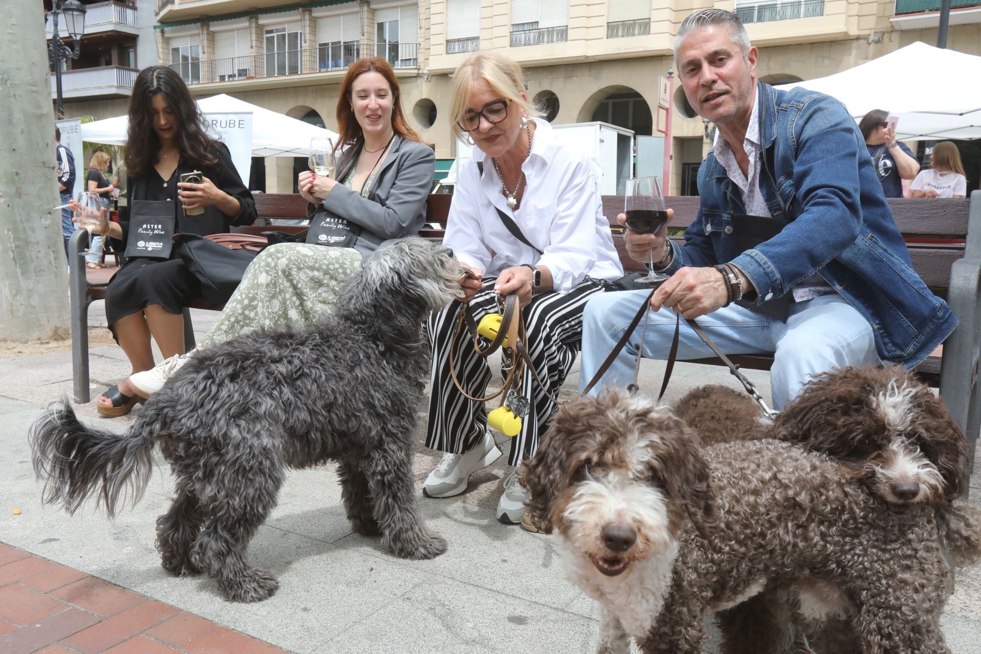 Bailes, juegos, vino y humor por San Bernabé en El Espolón