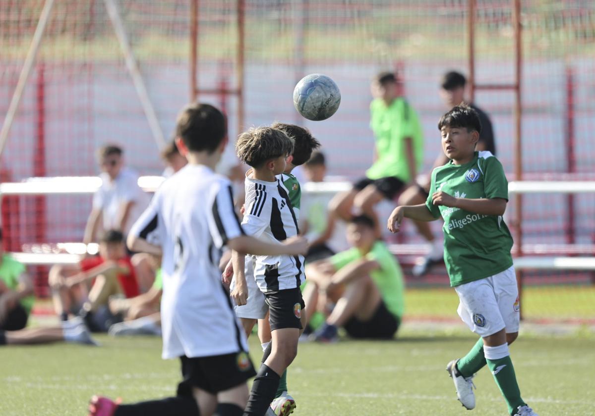 Torneo Internacional San Bernabé 2025