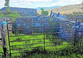 Santa Marina, sin servicio de recogida de basuras, hoy en La Guindilla.
