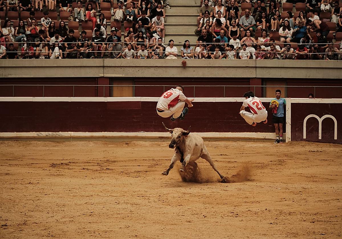 Festejo taurino en cumplimiento del voto de San Bernabé