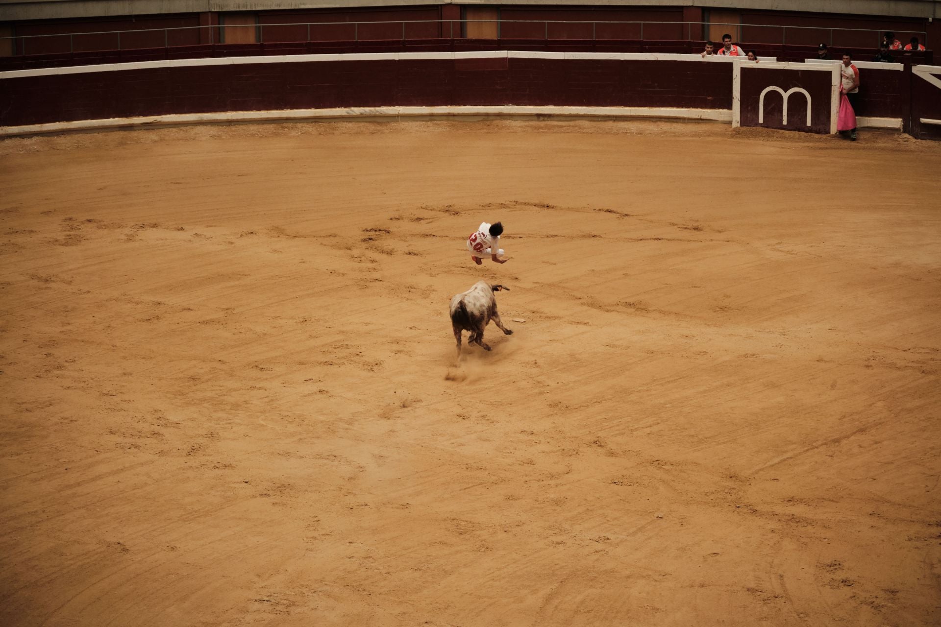 Festejo taurino en cumplimiento del voto de San Bernabé