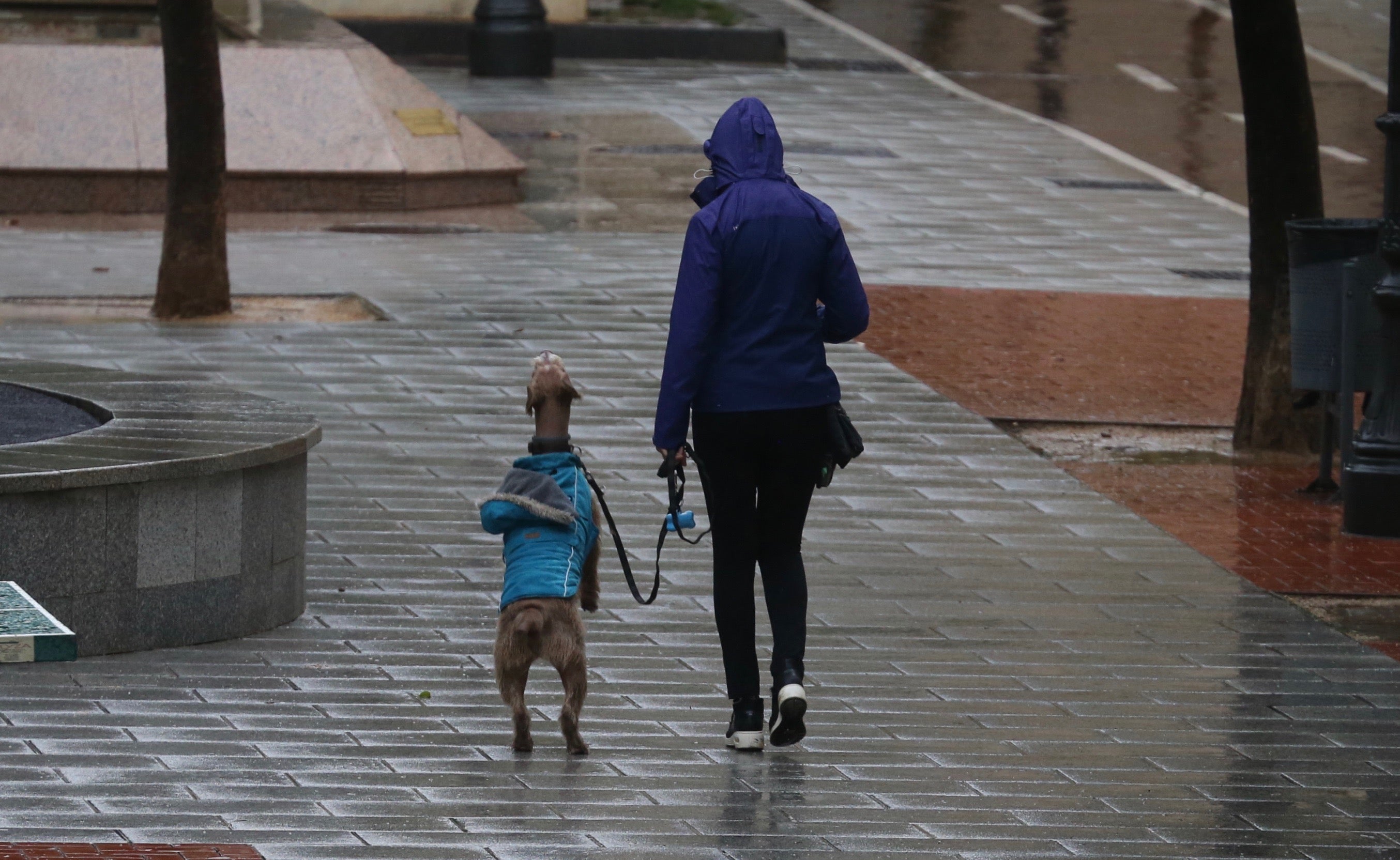 El tiempo en La Rioja este miércoles: chubascos y tormentas localmente fuertes