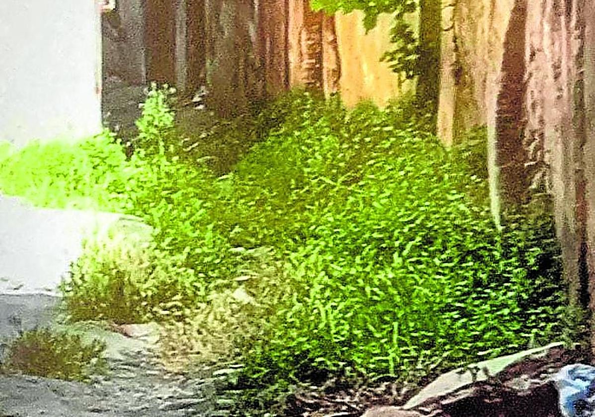 El estado de la Cuesta de la Curruca, en Calahorra, hoy en La Guindilla.