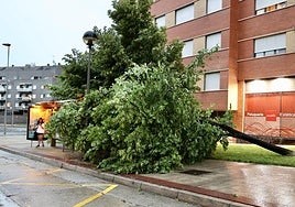 Árbol caído debido a la tormenta en Logroño.