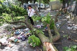 Así se vivió la tormenta en el recinto ferial de Logroño: «Cayó un árbol encima del puesto; fue muy angustioso»