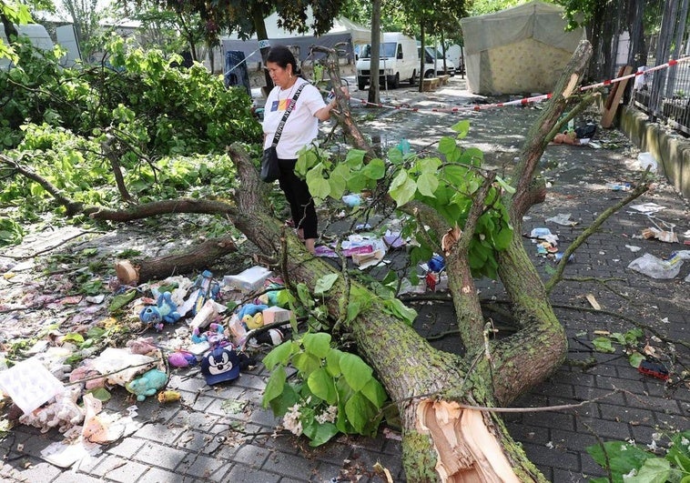 Así se vivió la tormenta en el recinto ferial de Logroño: «Cayó un árbol encima del puesto; fue muy angustioso»