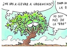 Los daños de la tormenta en el campo, según Tris