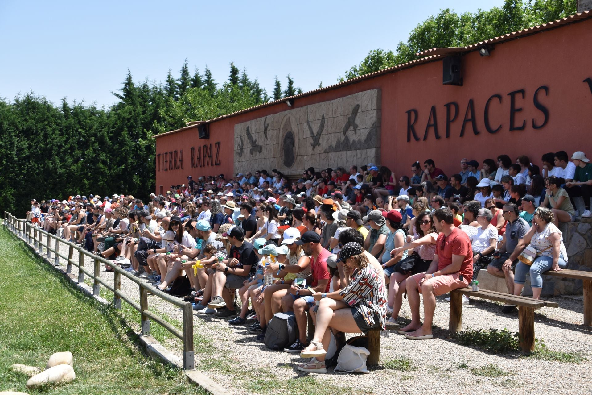 La segunda edición de &#039;Águilas de Roma&#039;, en imágenes