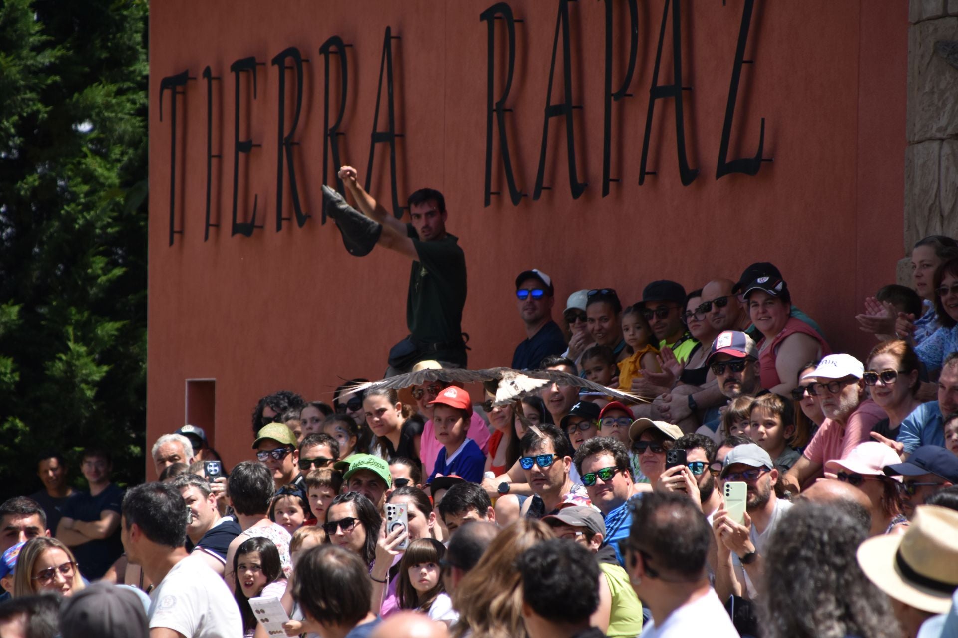 La segunda edición de &#039;Águilas de Roma&#039;, en imágenes