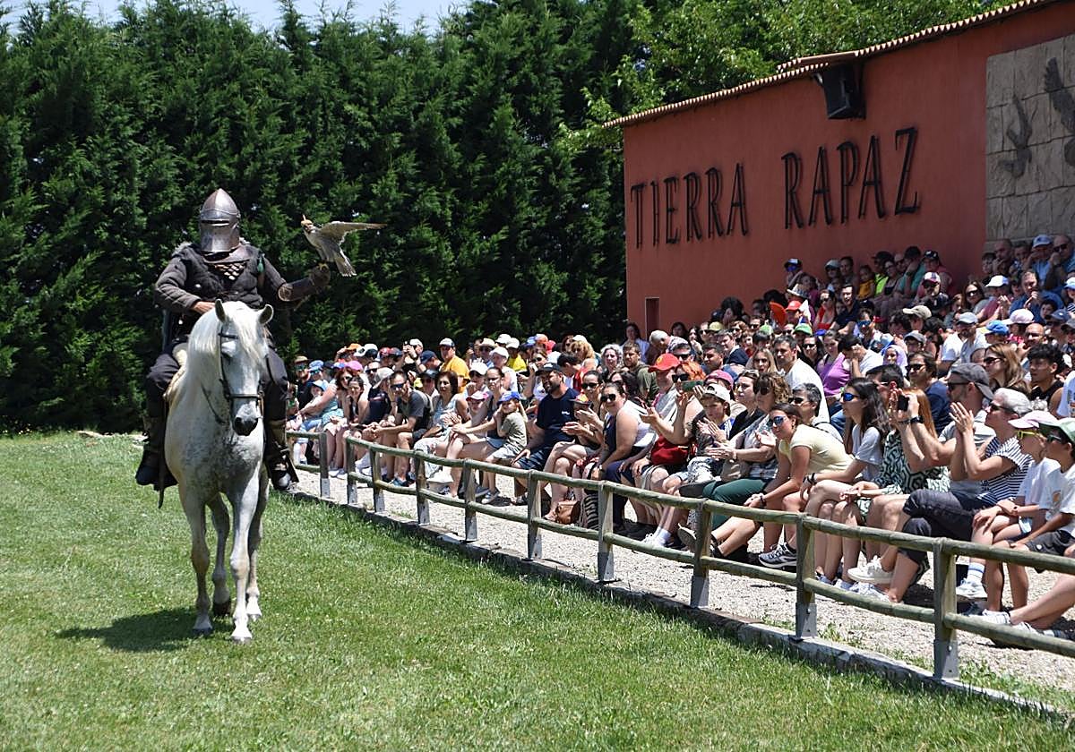 La segunda edición de &#039;Águilas de Roma&#039;, en imágenes