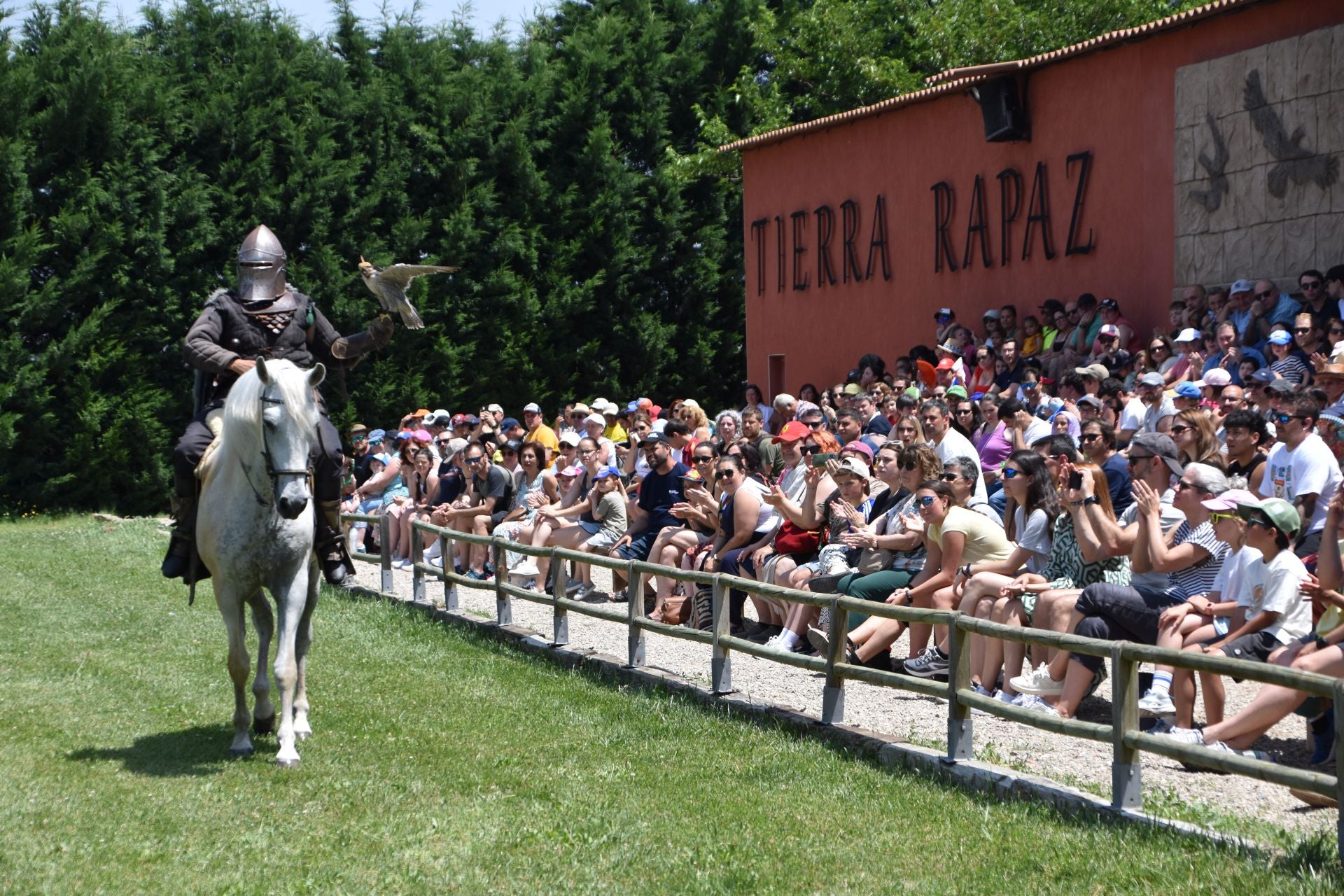 La segunda edición de &#039;Águilas de Roma&#039;, en imágenes