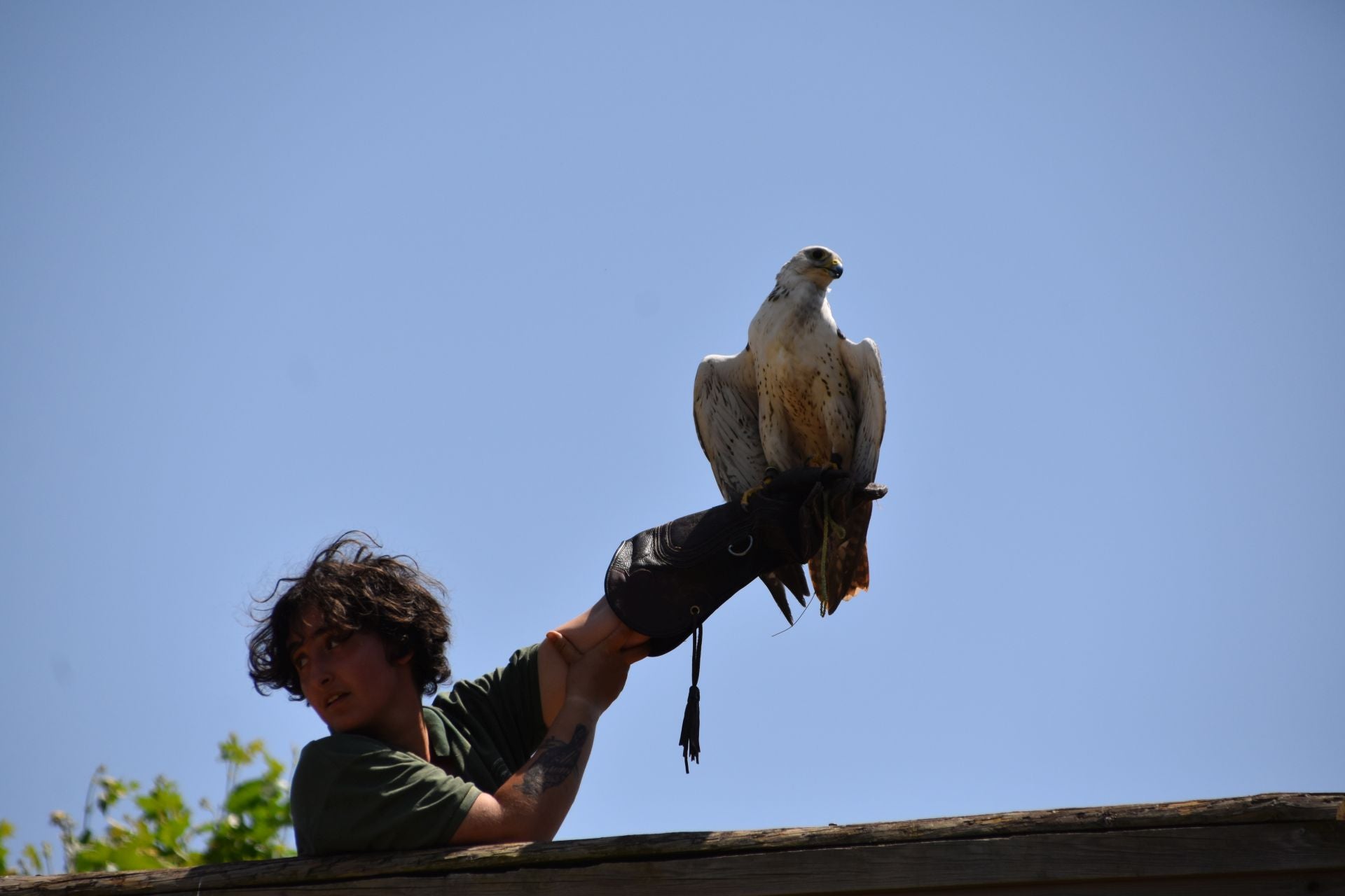La segunda edición de &#039;Águilas de Roma&#039;, en imágenes