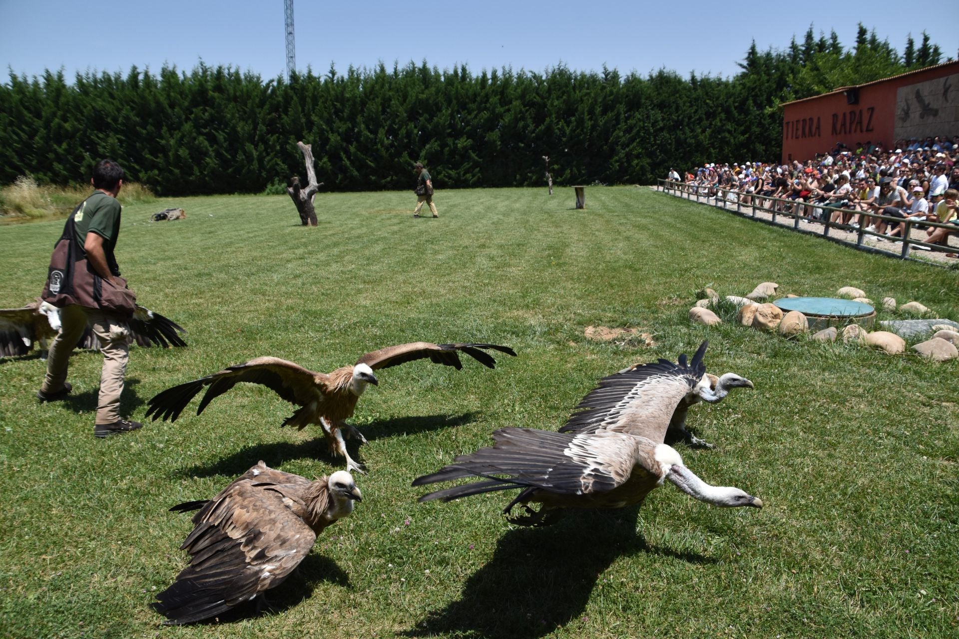 La segunda edición de &#039;Águilas de Roma&#039;, en imágenes