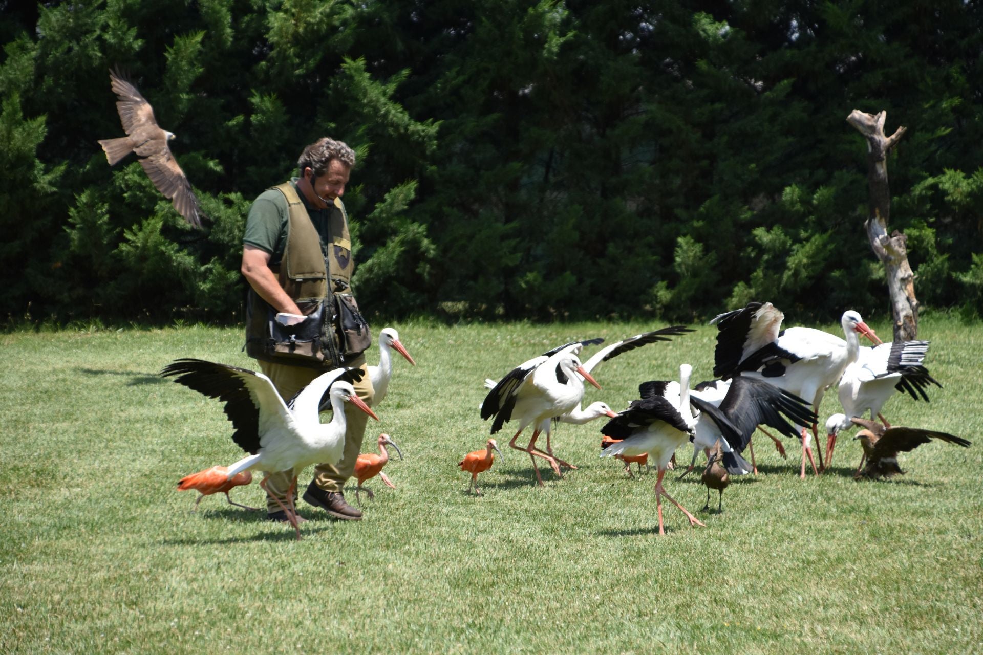 La segunda edición de &#039;Águilas de Roma&#039;, en imágenes
