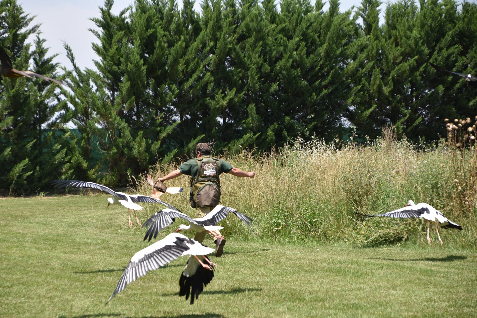 La segunda edición de &#039;Águilas de Roma&#039;, en imágenes