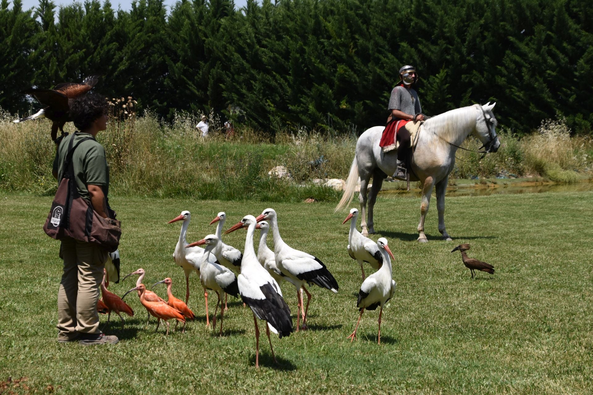 La segunda edición de &#039;Águilas de Roma&#039;, en imágenes