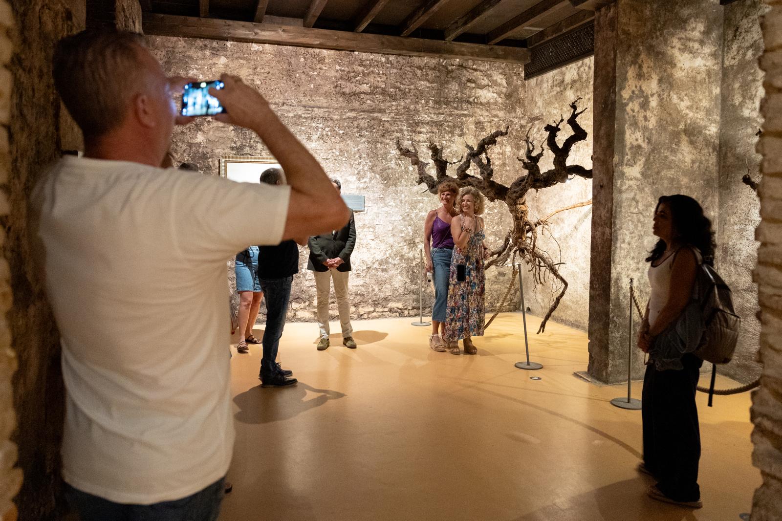 Las imágenes de la cata solidaria de Pioneros