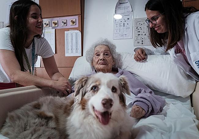 La perra Tirma, sobre el regazo de Lala, de 98 años.