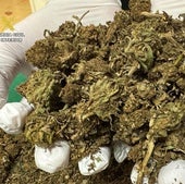 Intervenidos 209 gramos de marihuana tras una pelea en Arnedillo: «Me había robado cuatro porros»