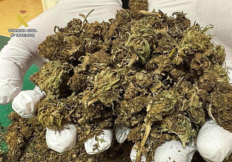 Intervenidos 209 gramos de marihuana tras una pelea en Arnedillo: «Me había robado cuatro porros»