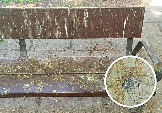 Suciedad en algunas calles y multas por aparcar mal: en el Teléfono del Lector de hoy