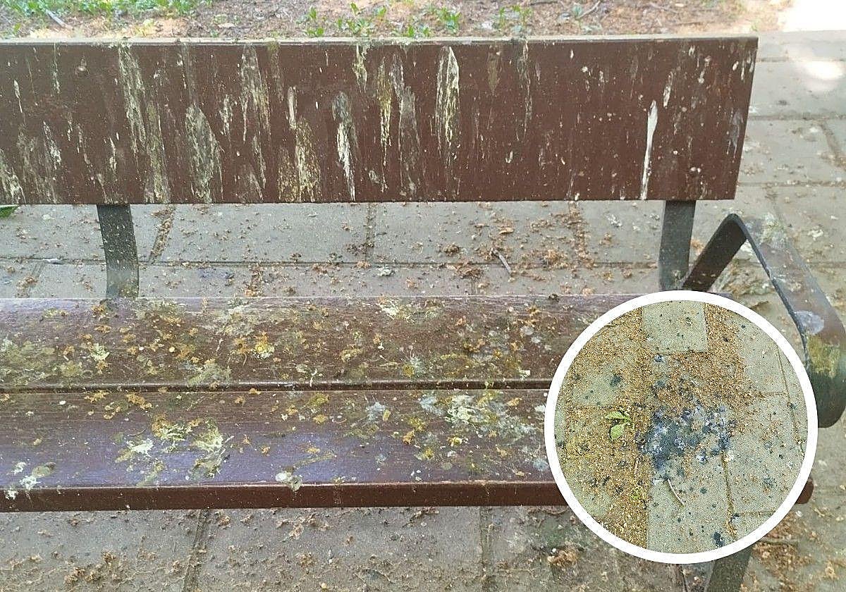 Suciedad en algunas calles y multas por aparcar mal: en el Teléfono del Lector de hoy