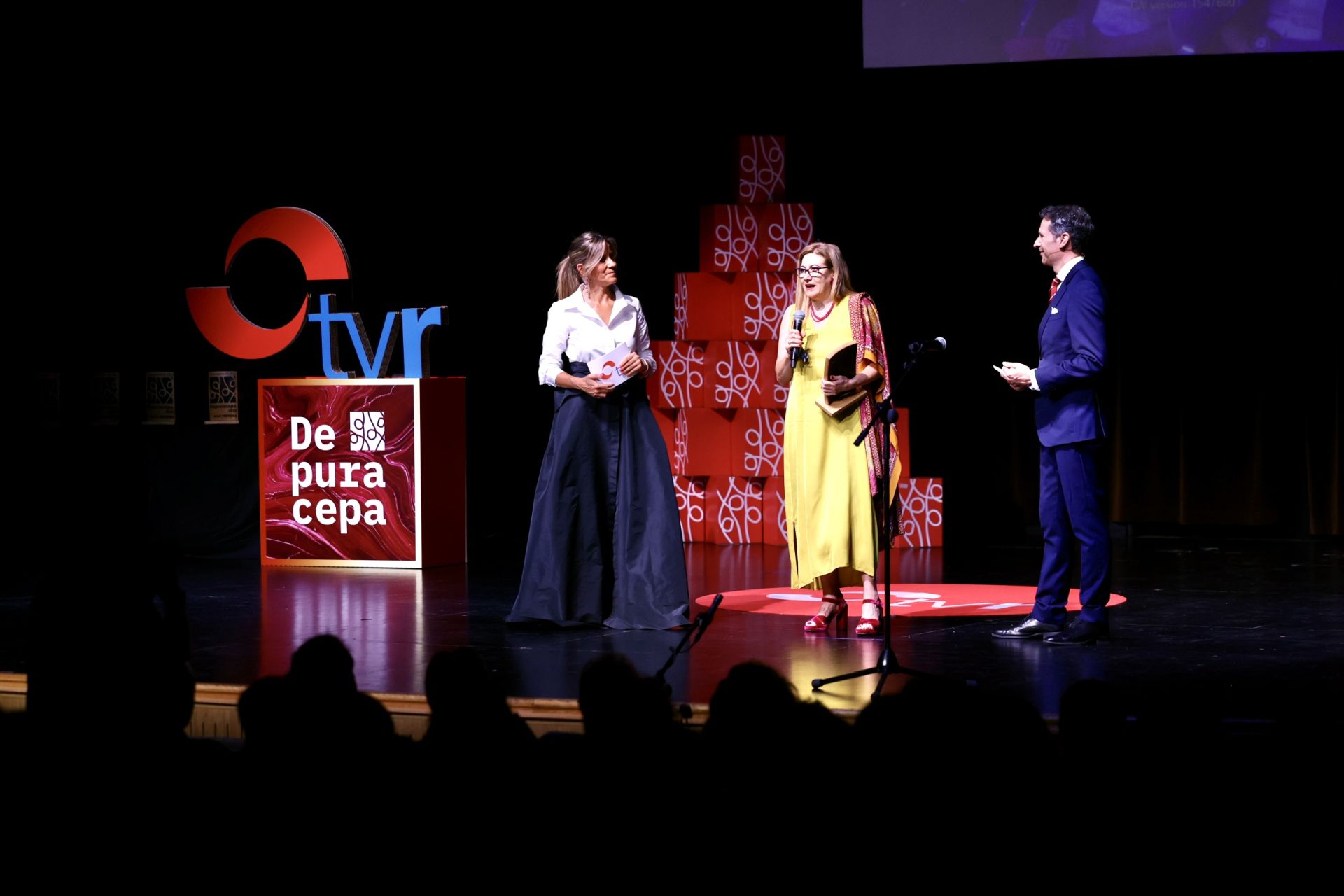 Las mejores imágenes de los premios de TVR