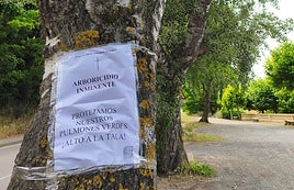 Ecologistas en Acción alerta de que el Gobierno de La Rioja rechaza la protección de los álamos centenarios de Haro