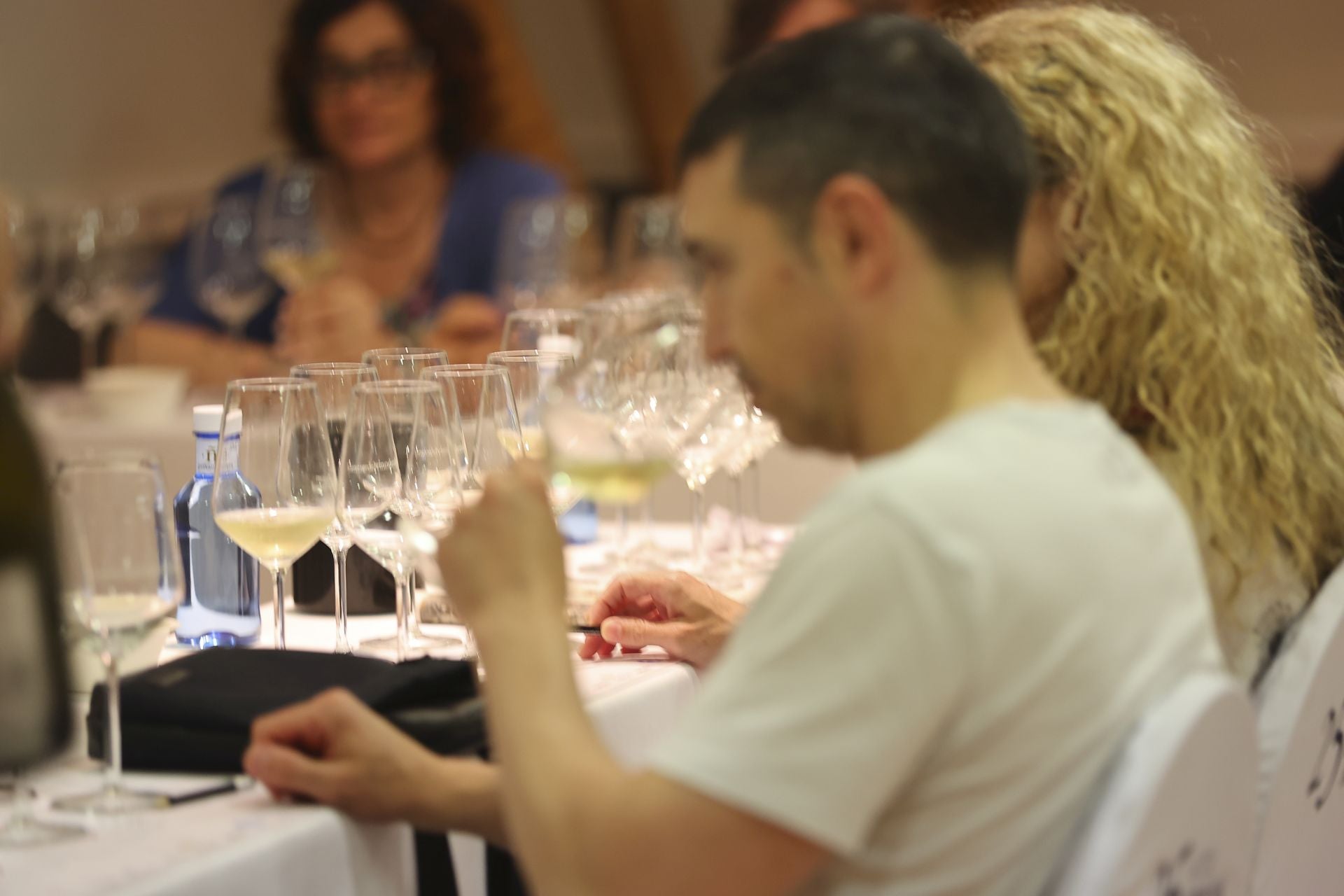 Bárbara Palacios presenta su colección de vinos para lomejordelvino