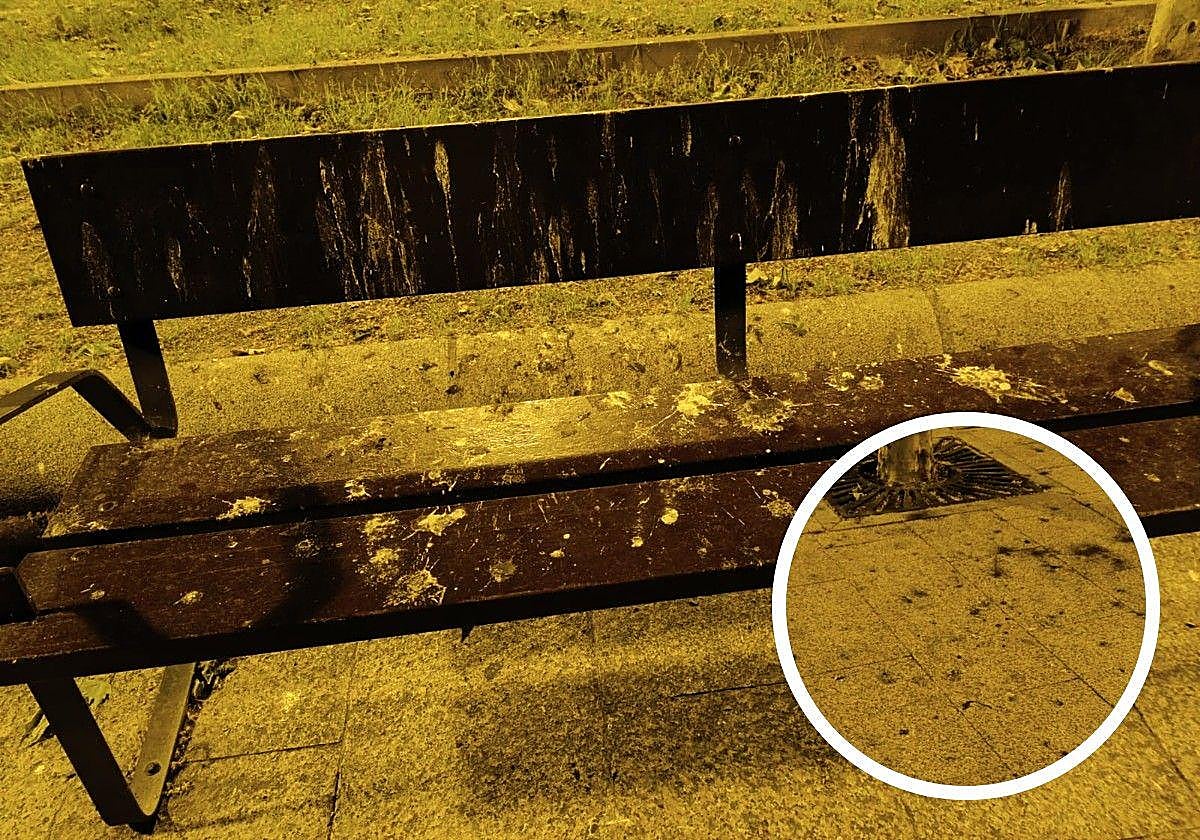 El servicio de taxis y la suciedad en Logroño: el Teléfono del Lector de hoy