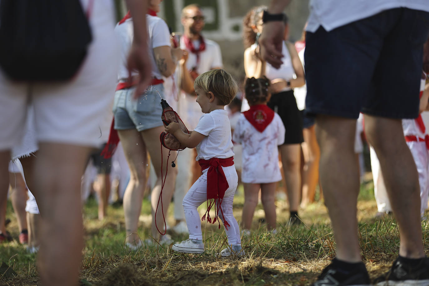 Las imágenes de la Batalla del Vino Infantil de Haro