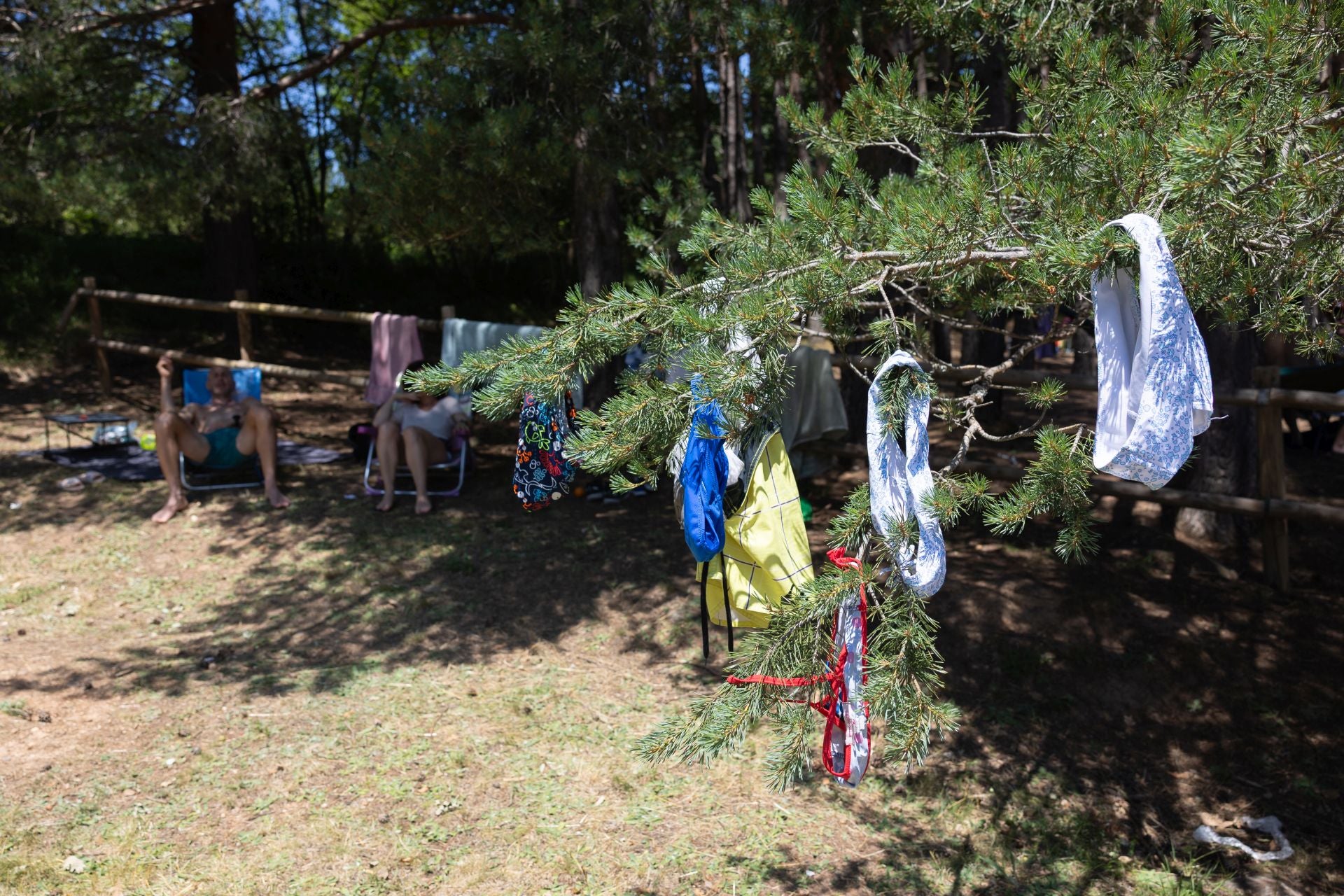 Las imágenes de los bañistas en El Rasillo