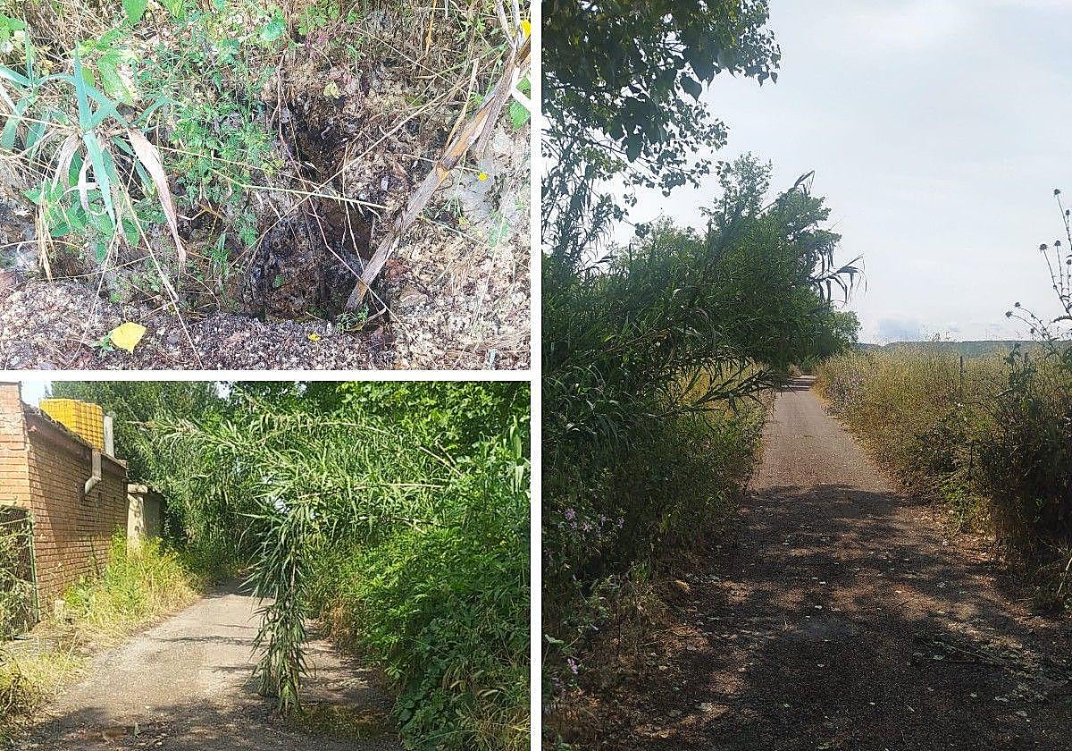 Ruido en el centro de Logroño, música mediocre y otras quejas del Teléfono del Lector