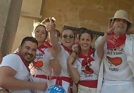 Disfraces de uva, pistolas atascadas... así han vivido los riojanos y visitantes la Batalla del Vino