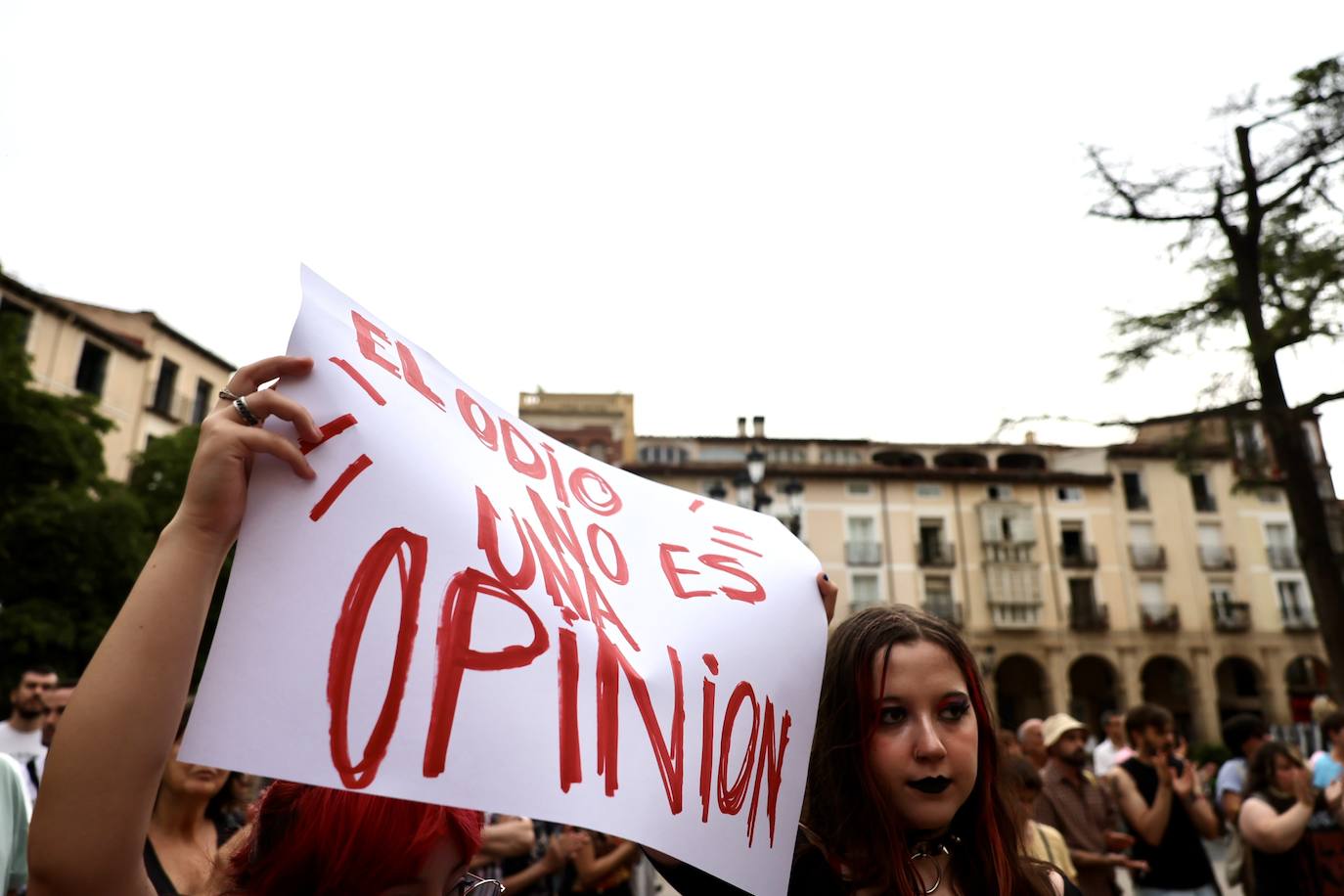 Las imágenes de la concentración contra el odio y la violencia en Logroño