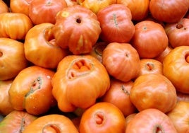 Tomates maduros para ensalada.
