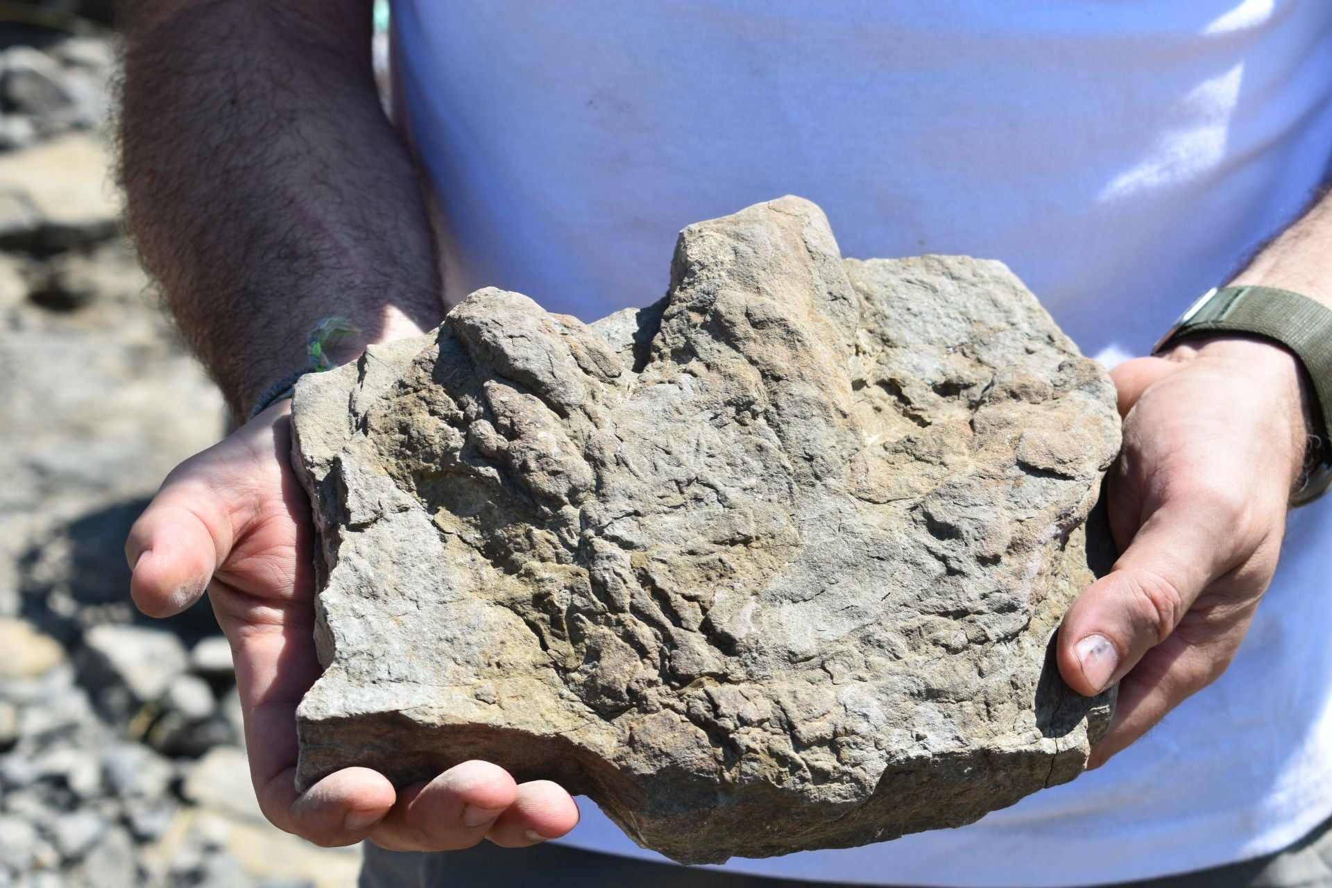 Imágenes de la excavación de Las Cerradas de Igea